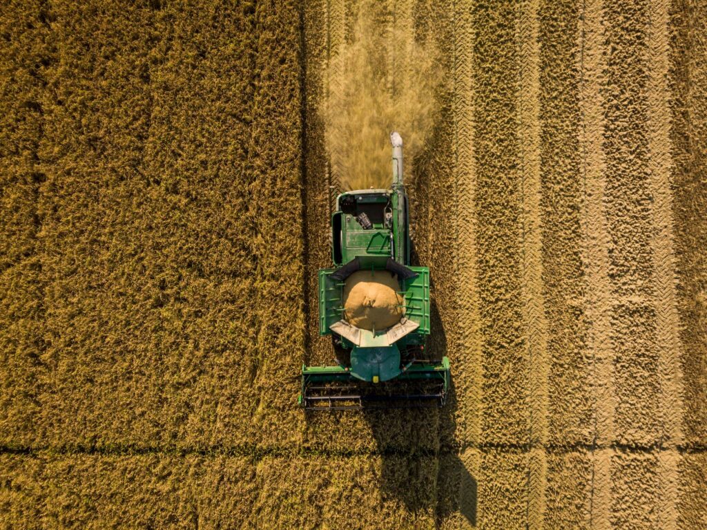 Riso di Baraggia DOP: il &ldquo;cru&rdquo; del riso italiano che conquista gli chef