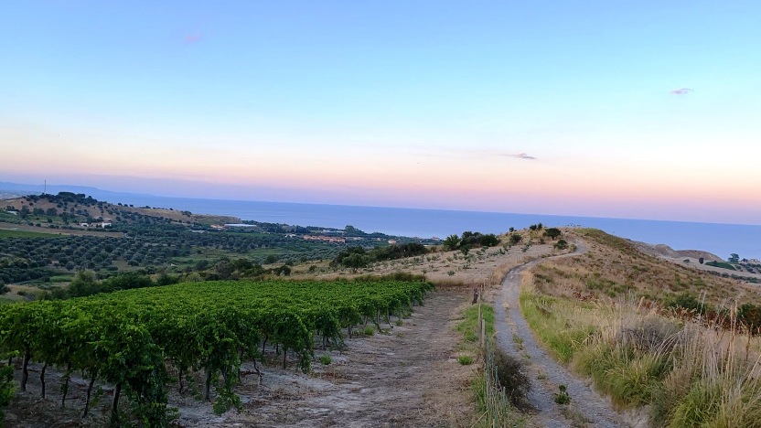 Antonella Lombardo, folgorata sulla via della toga