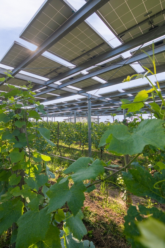 Muratori, Franciacorta Mill&eacute; Extra Brut 2021