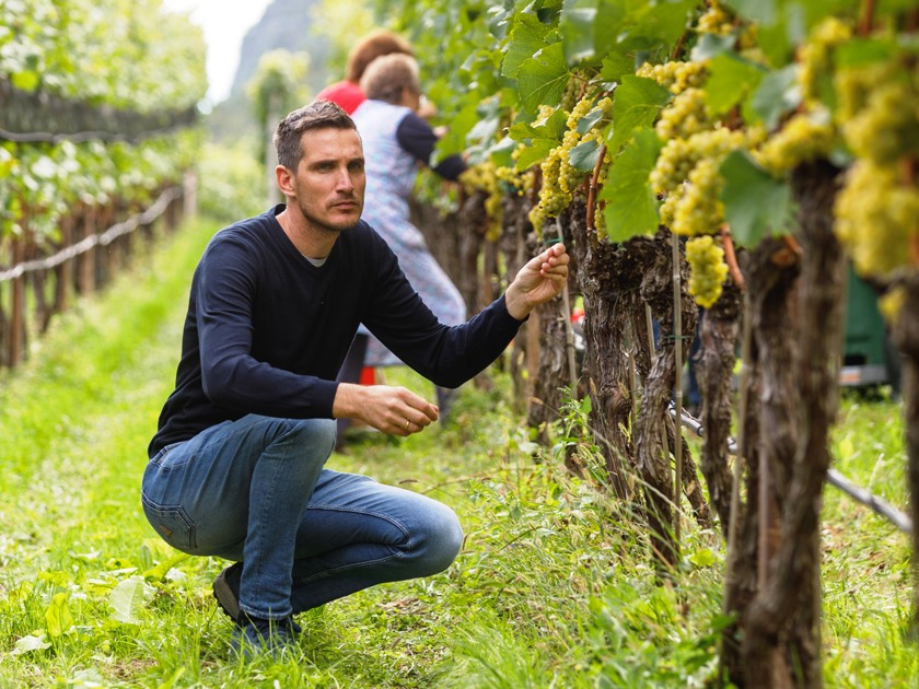 Cantina Sankt Pauls Kalkberg, la fine tensione del Pinot Bianco