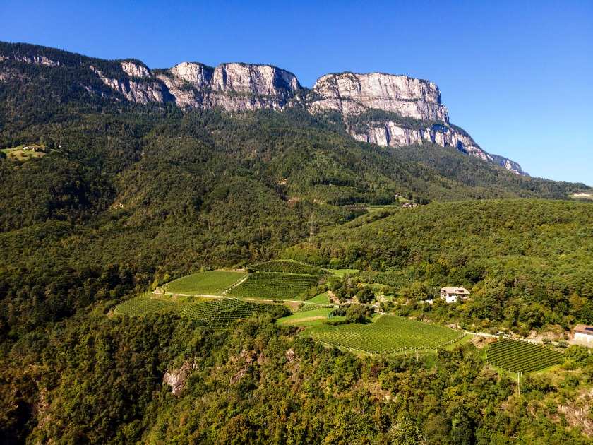 Cantina Sankt Pauls Kalkberg, la fine tensione del Pinot Bianco