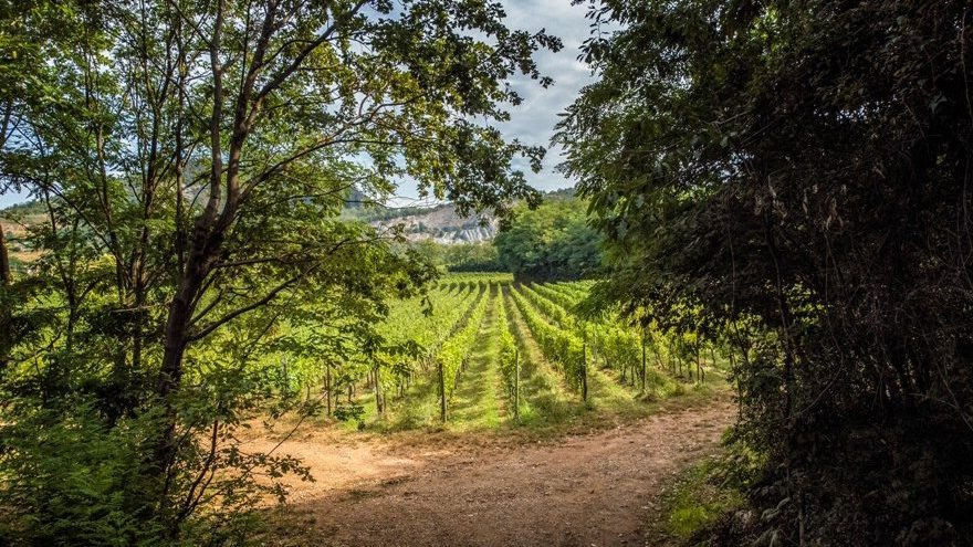 Muratori, Franciacorta Mill&eacute; Extra Brut 2021