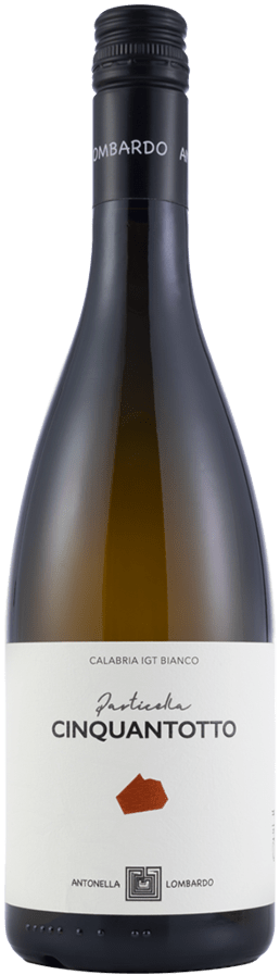 Antonella Lombardo, folgorata sulla via della toga