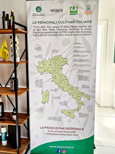 L&rsquo;Italia dell&rsquo;oleoturismo registra un incremento del 37,1% 