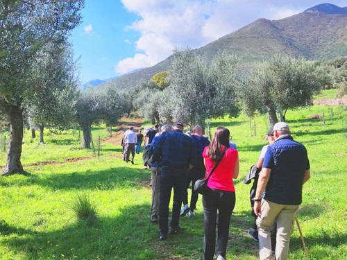 L&rsquo;Italia dell&rsquo;oleoturismo registra un incremento del 37,1% 