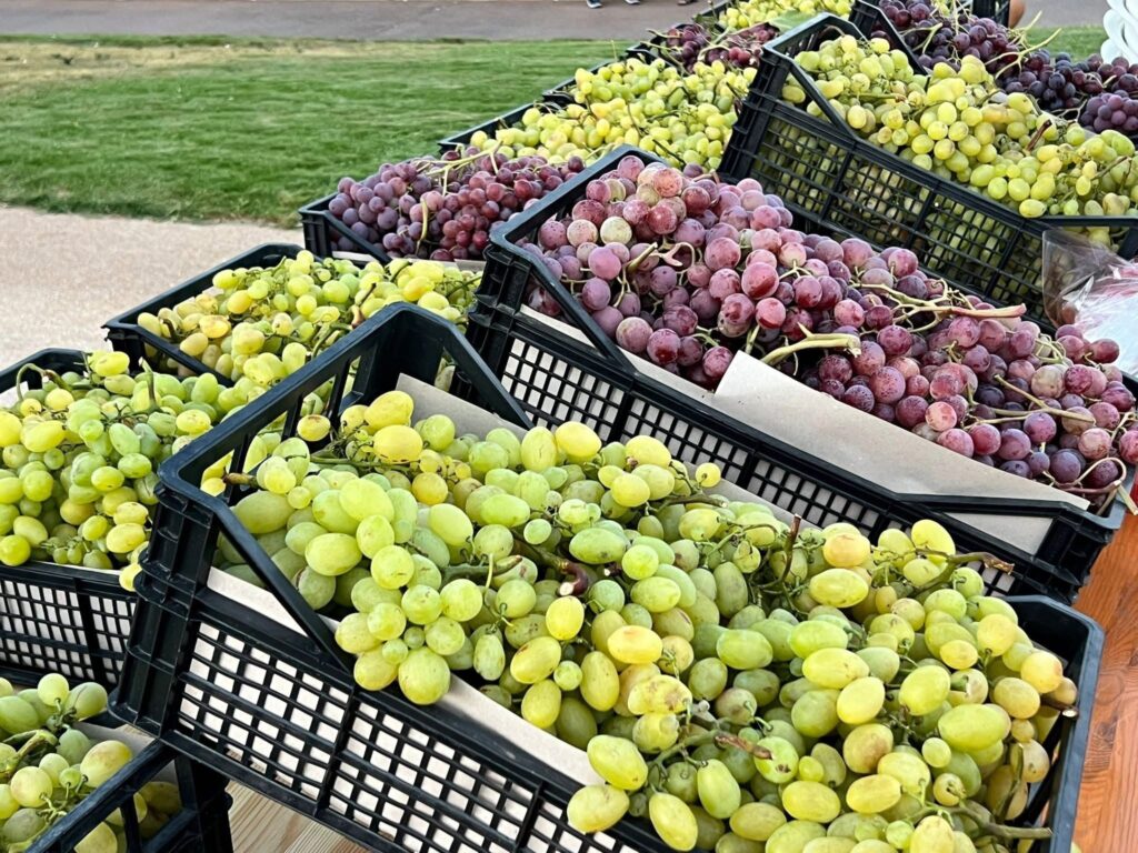 Terra e comunit&agrave;: il distretto di Sant’Isidoro nel cagliaritano