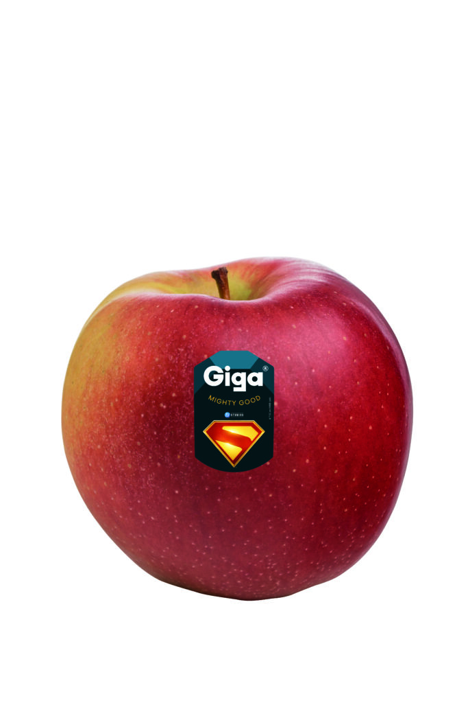 Raddoppia la collaborazione tra il&nbsp;Consorzio VOG&nbsp;e&nbsp;Warner Bros