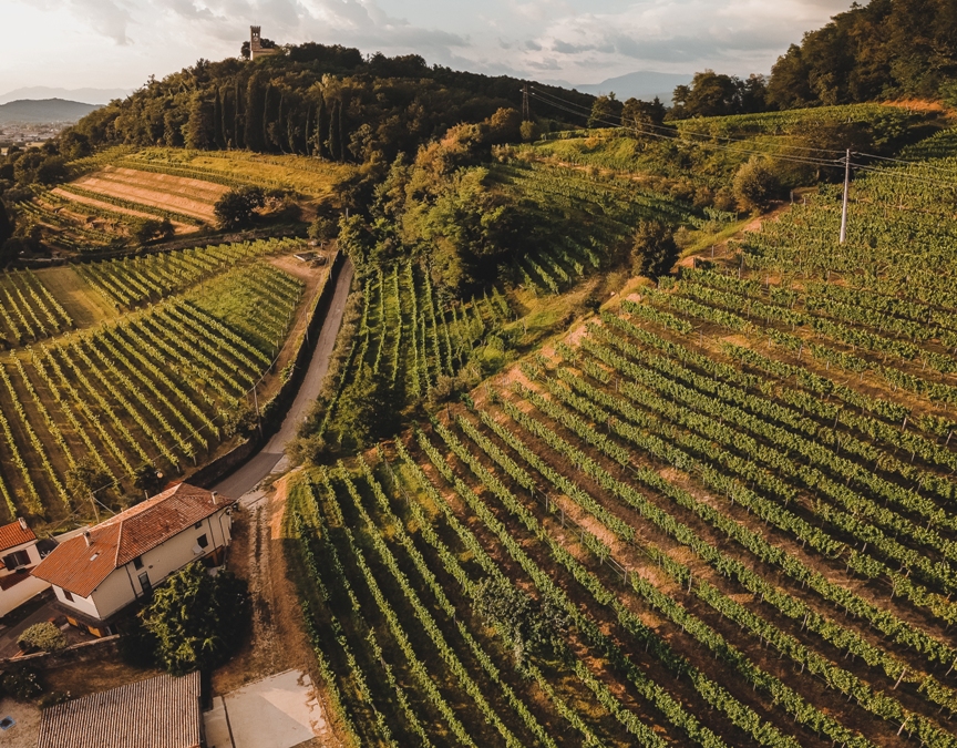 Vignaioli per il Ronco della Chiesa, da Vinitaly un appello a Fedriga