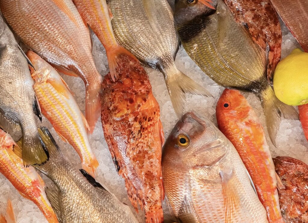 Azur a Monopoli. Mare e terra per una cucina autentica e sincera