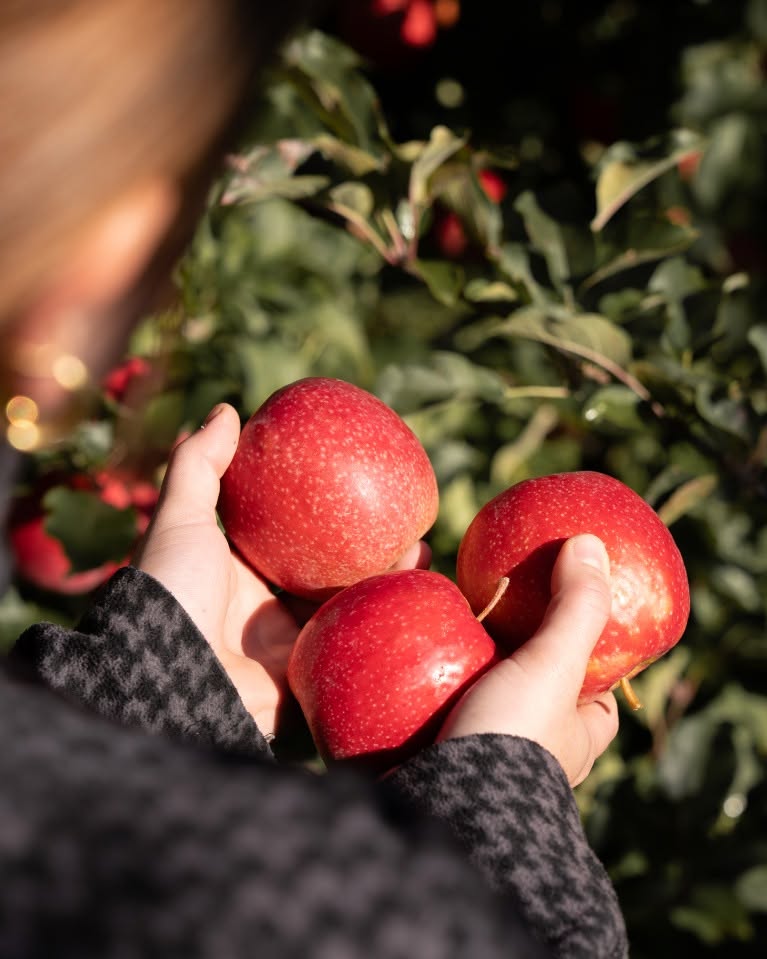 VOG – Home of apples schiera la sua squadra estiva!