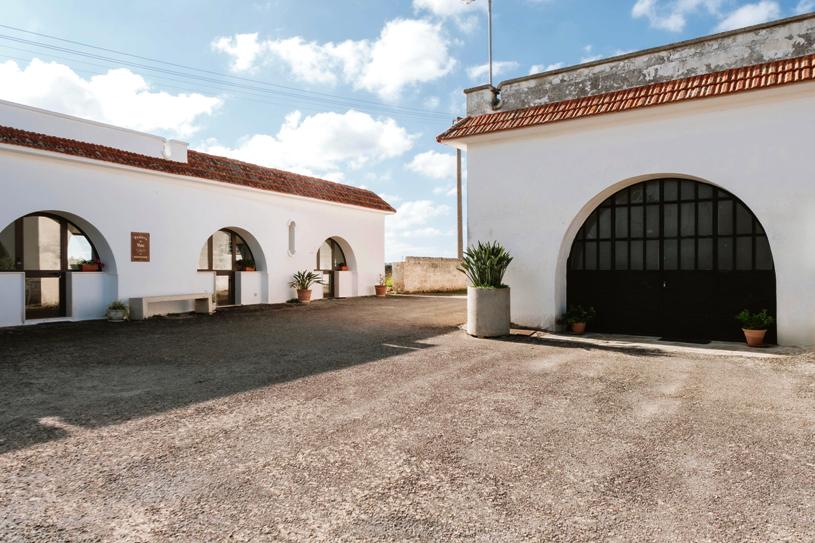Garofano: storia di vino, territorio e passione nel cuore del Salento