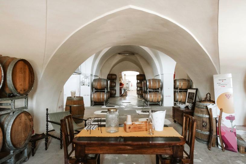 Garofano: storia di vino, territorio e passione nel cuore del Salento