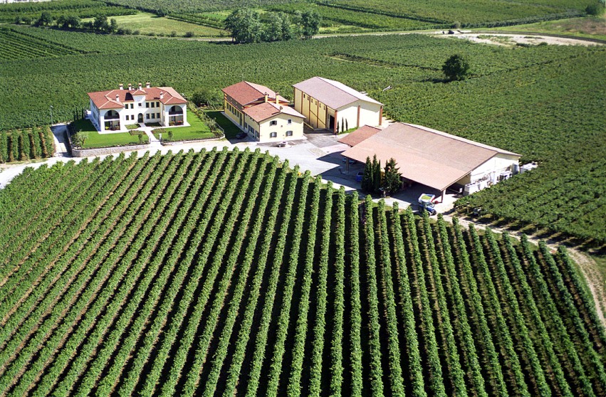 Monte del Fr&agrave;, le radici nel Custoza