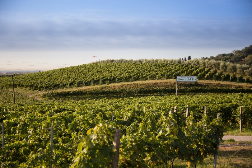 Monte del Fr&agrave;, le radici nel Custoza