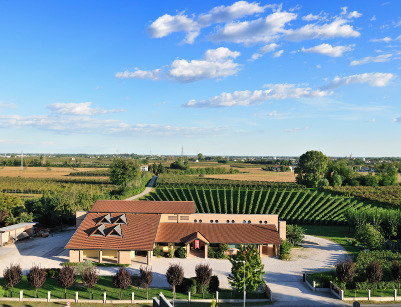 Cecchetto, le anime del raboso Piave