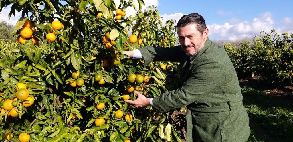 Perrina, la clementina tardiva tutta italiana