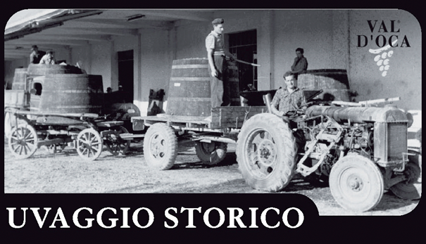 Etichetta del vino Valdobbiadene Prosecco Superiore Uvaggio Storico Dry